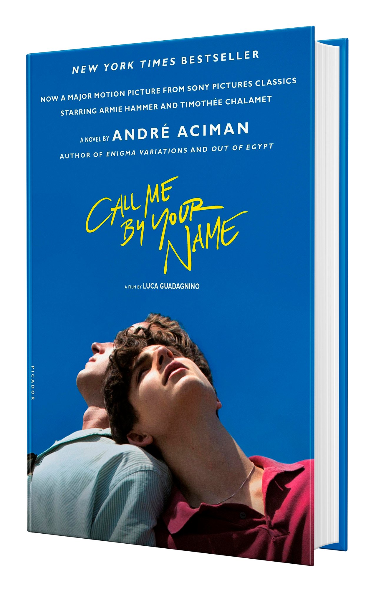 Books - André Aciman